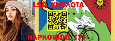 гидра Гай