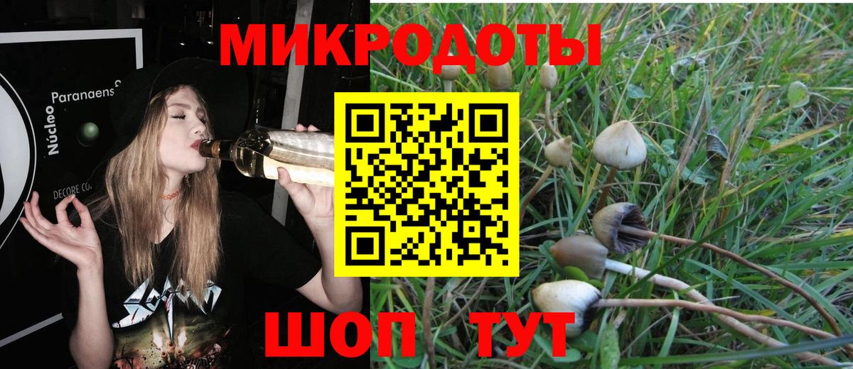Галлюциногенные грибы мухоморы  Вход с VPN  Нижнекамск 
